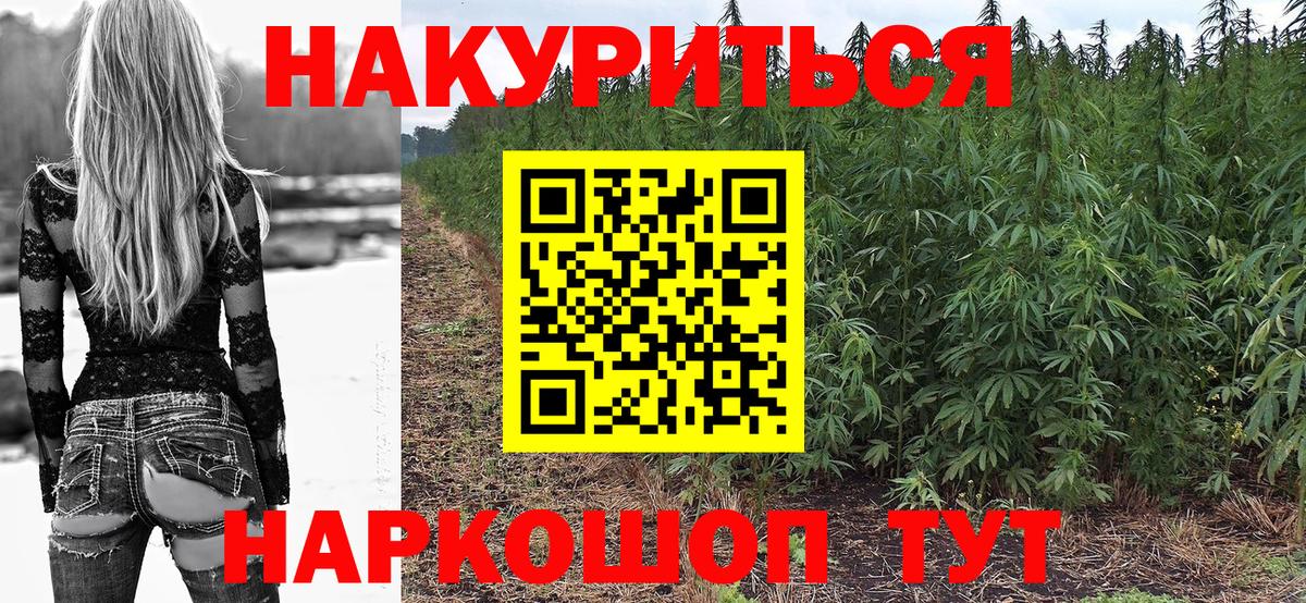 Бошки Шишки планчик Касимов